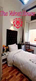 THE velvet HOUSE - 6