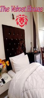 THE velvet HOUSE - 5