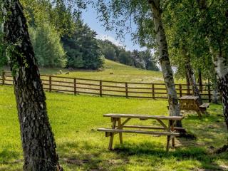 2 Bed in Usk 87949 - 5