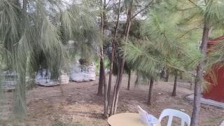 Hostal del Sol Rosario - 2