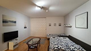 Arctic Aura Apartment with jacuzzi - 4