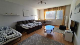 Arctic Aura Apartment with jacuzzi - 1