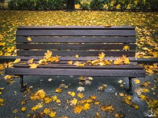 City Center 2BDR Flat with Workspace near Vitosha Blvd - 8