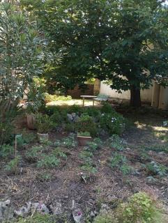 Appartement avec accès jardin - 9