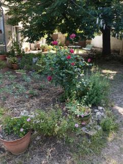 Appartement avec accès jardin - 1