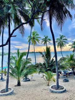 kuda Bay Surf Hostel - 0