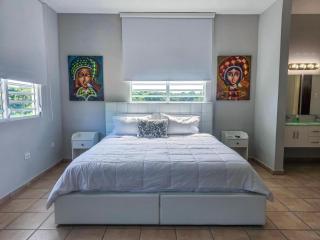 Friends & Family Getaway Villa- Pickle-ball Court - Ceiba - 1