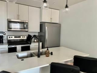 Luxury Downtown Apt with Parking, Gym, and Indoor Pool - 1