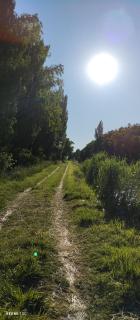 La Chacrita de Río Colorado - 8