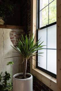 Design Row House in Fishtown Monthly Rentals - 4