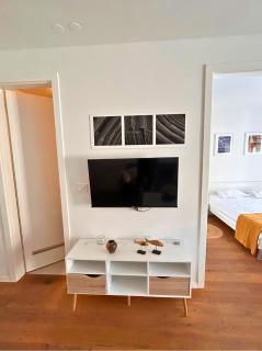 Luxury Apartment Ansi - 1