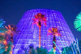 Peaceful Serene Great Location and Amenities - 0