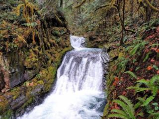 The Little Owl Cabin at Mount Rainier - 7