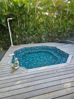 Résidence Ti Gwapabe, proche raisins clairs - 9