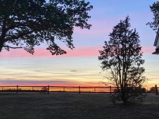 4 person holiday home in Hagby - 4