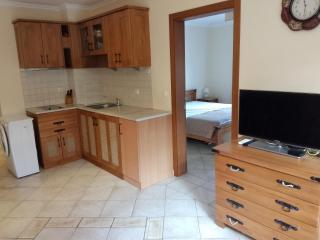 Трёхкомнатные роскошные апартаменты у моря в Санта Марина - 4