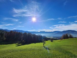 Blickfang Bregenzerwald - 2