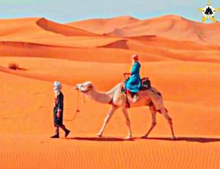 Luxury Trip Camp - 8