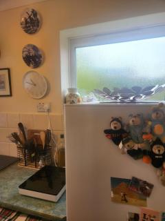 Suffolk Broadlands Cozy Home Where East Meets West - 3