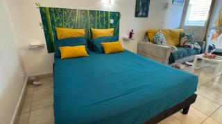 Brin d'ile Anse des Rochers vue mer à 50 m de la plage et piscine - 6