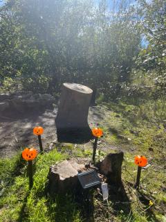 Cabane atypique sur une Île - 2