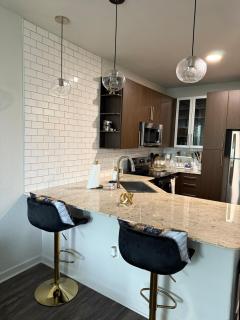 1B1B Luxury with City view - 4