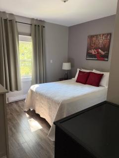 Waterfordbridge Apartments - 1 Bedroom Lower - 3