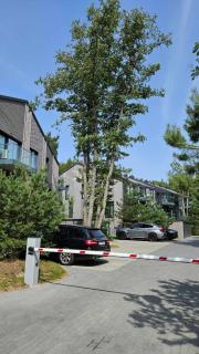 Apartamentai Palangoje, Vanagupėje - 500 m pušynu iki jūros - Palanga - 4