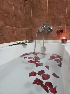 Apartment Bee Happy, Pchelinski Bani,Hot mineral water - 1