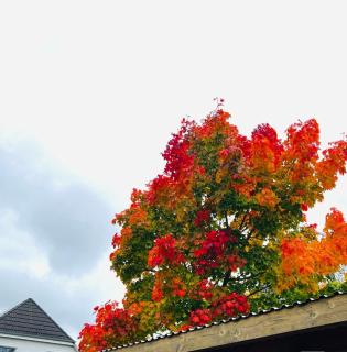 53qm 2Zimmer helle Familiewhg mit Garten nahe Uni - 7