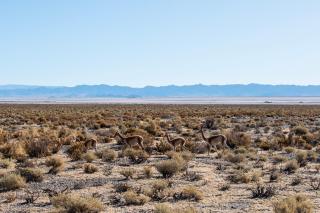 Hotel Pastos Chicos - 3