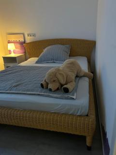 Neue Erdgeschosswohnung in Zentrum von Rockenhausen - 3