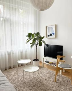 J Street Cozy Apartments - A2 - 2