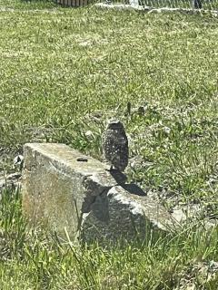 Andy House 2 - Mar del Plata - 1