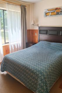 Bosque Volcánico - 5