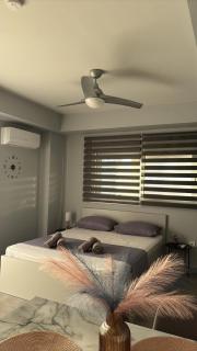 ThaniaS'S Studio 1 - 7