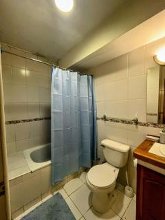 Bosque Volcánico - 7