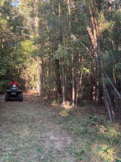 Deerwood Retreat - 5