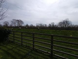 The White House Kelfield - 7