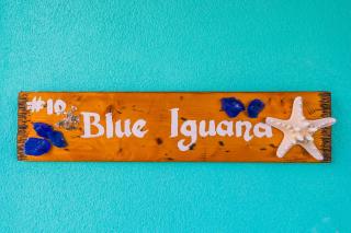 The Blue Iguana at Cottages - 1