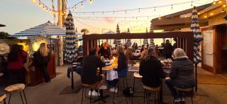 Little Palm Cottage - 8