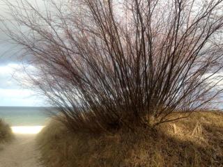 Ferienwohnung Annelie - 3