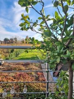 Ferienwohnung im Haus Petry - 2