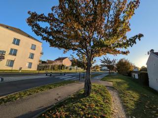 Tiny House moderne et cosy - 8