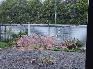 Marg's on the Corner - 3