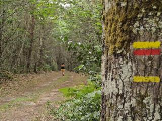Gîte Le Jardin Secret Castanéa Parc Loire Anjou Touraine - 2