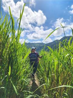 Quiet retreat farm house - 7