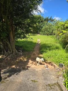 Quiet retreat farm house - 5