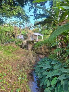 Quiet retreat farm house - 4