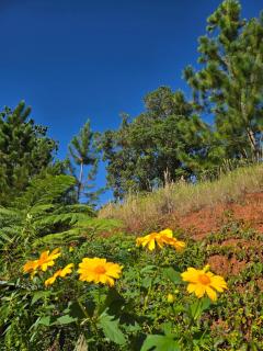 Quiet retreat farm house - 3